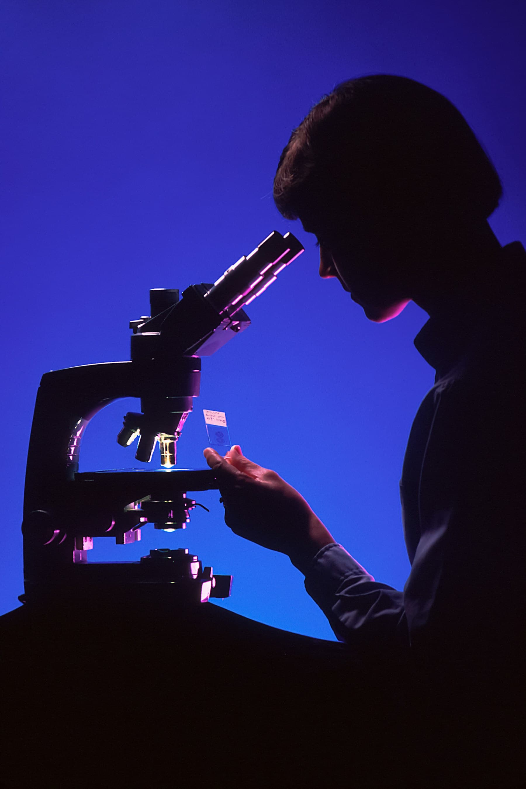 A scientist working with a microscope