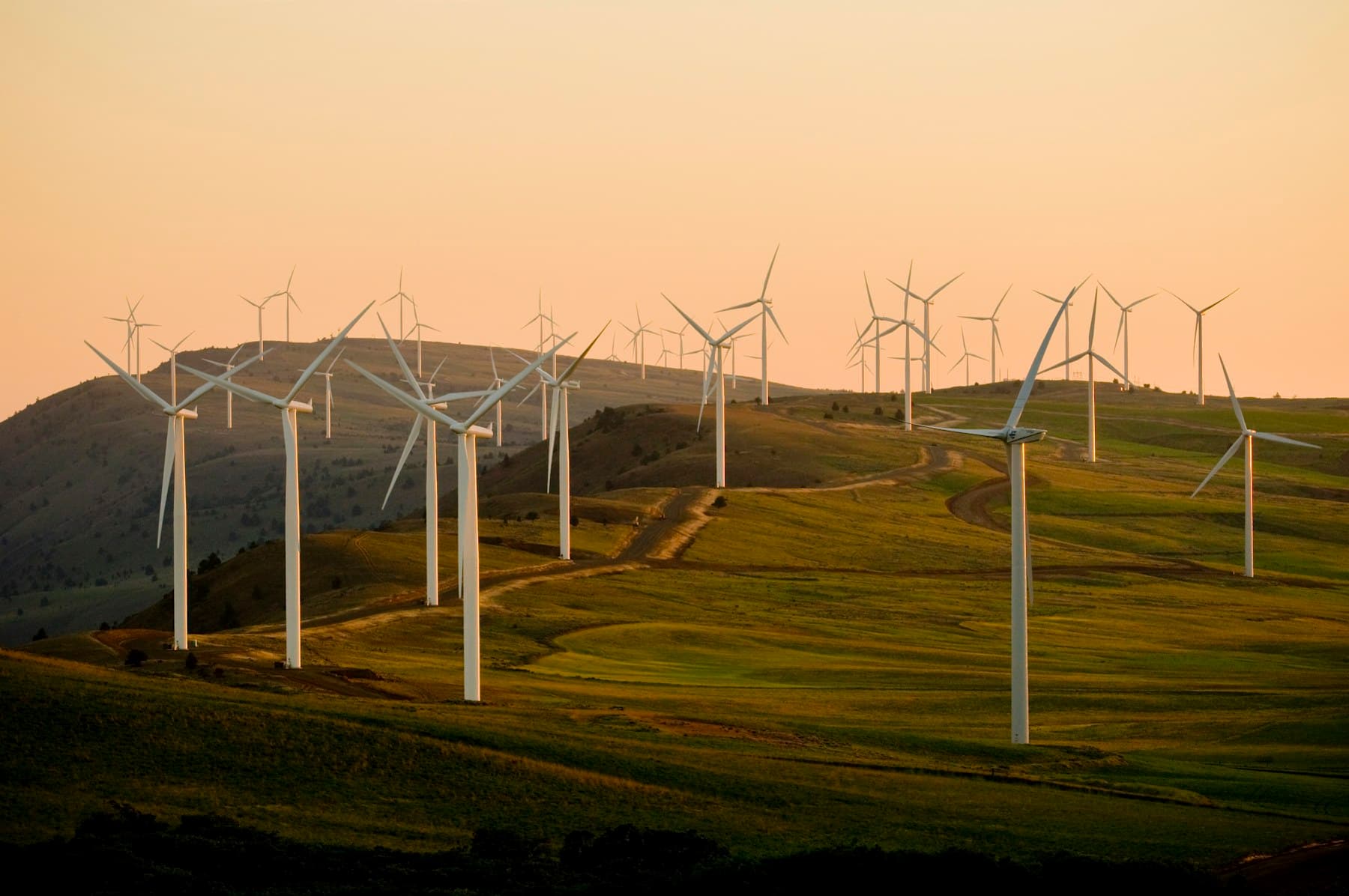 Wind turbines generating electricity beside farmland